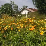 Margarita Отель типа 