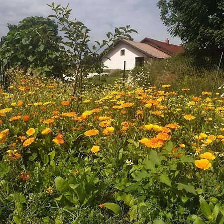Margarita Nocleg ze śniadaniem 3*