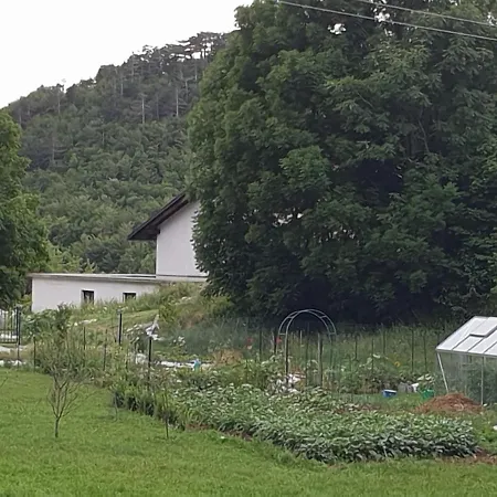 Margarita לינה וארוחת בוקר