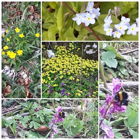 לינה וארוחת בוקר Margarita Otlica