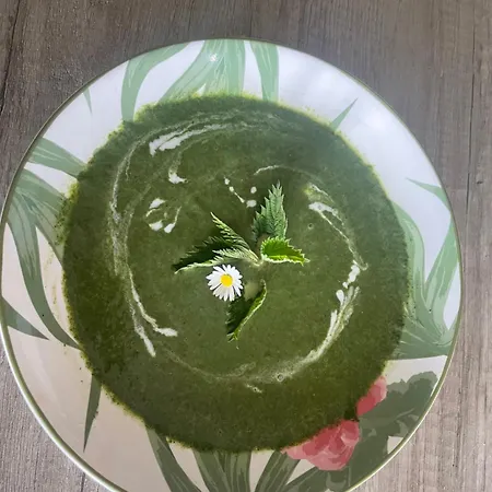 לינה וארוחת בוקר Margarita