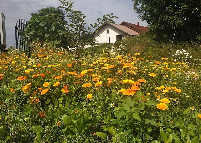 Margarita Frühstückspension 3*