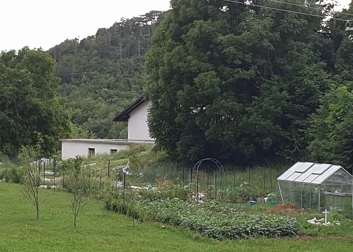 Margarita Bed and breakfast