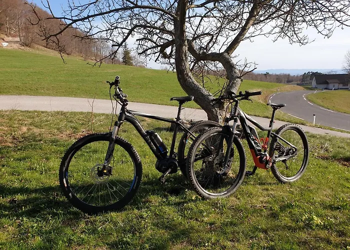 Bed and breakfast Margarita